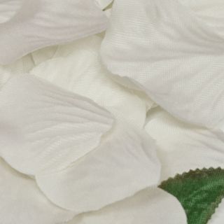 Rose Petals in Acetate Box Ivory No.61 - 164pcs