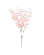 eucalyptus-bush-pink-x16