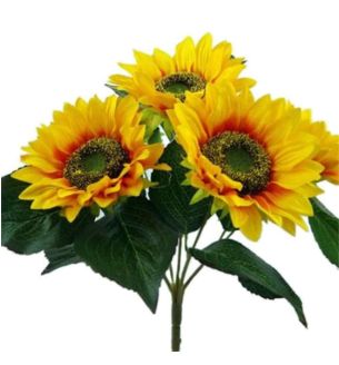 44cm-large-sunflower-bush-yellow.jpg