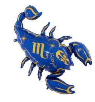50-inch-zodiac-scorpio-balloon.jpg