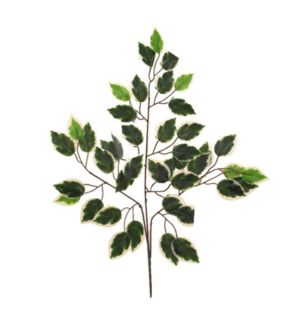 66cm-deluxe-ficus-branch-variegated-up.jpg