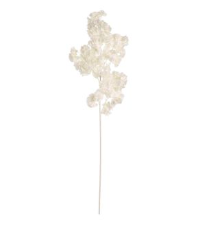 blossom-spray-with-white-stem-white