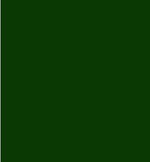 de-tape-forest-green-vinyl-roll-305mm-x-5m