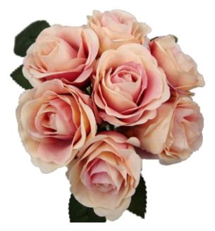 floristsupplies-31cm-open-rose-bunch--bundle-of-7--apricot.jpg