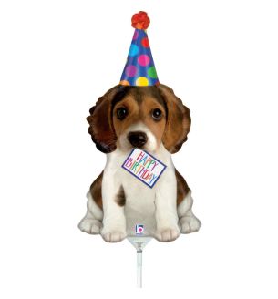 grabo-birthday-puppy-b.jpg