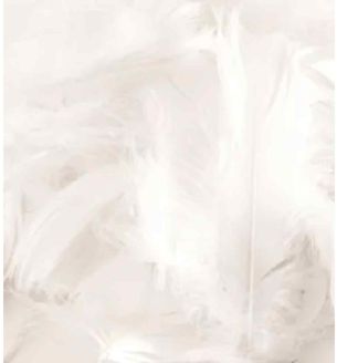oaktree-3inch-5inch-50g-bag-white.jpg